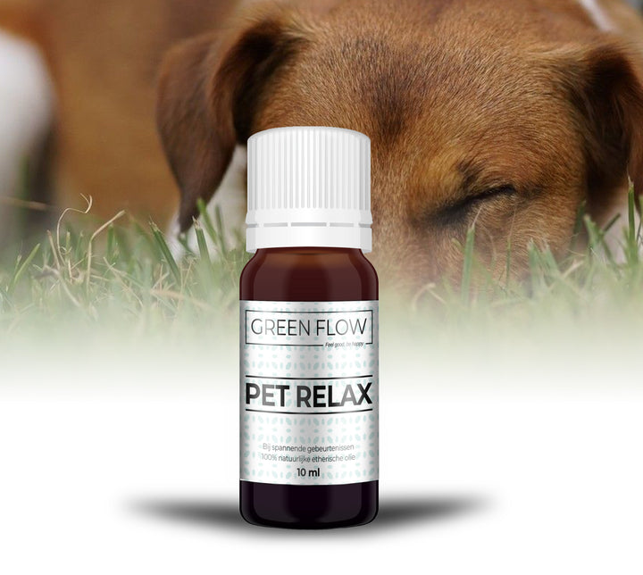 Pet Relax (Dog) - 10 Ml - 100% Natuurzuivere Etherische Olie