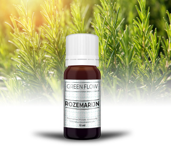 Rozemarijn - 10 Ml - 100% Natuurzuivere Etherische Olie