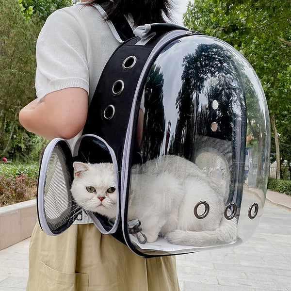 Kačių nešiojimo krepšys – nešiojamas, kvėpuojantis, permatomas erdvinis naminių gyvūnėlių kuprinė, skirta šuniukų vežėjui